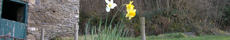 Spring at The Solutions Factory