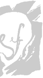 Solutions Factory logo